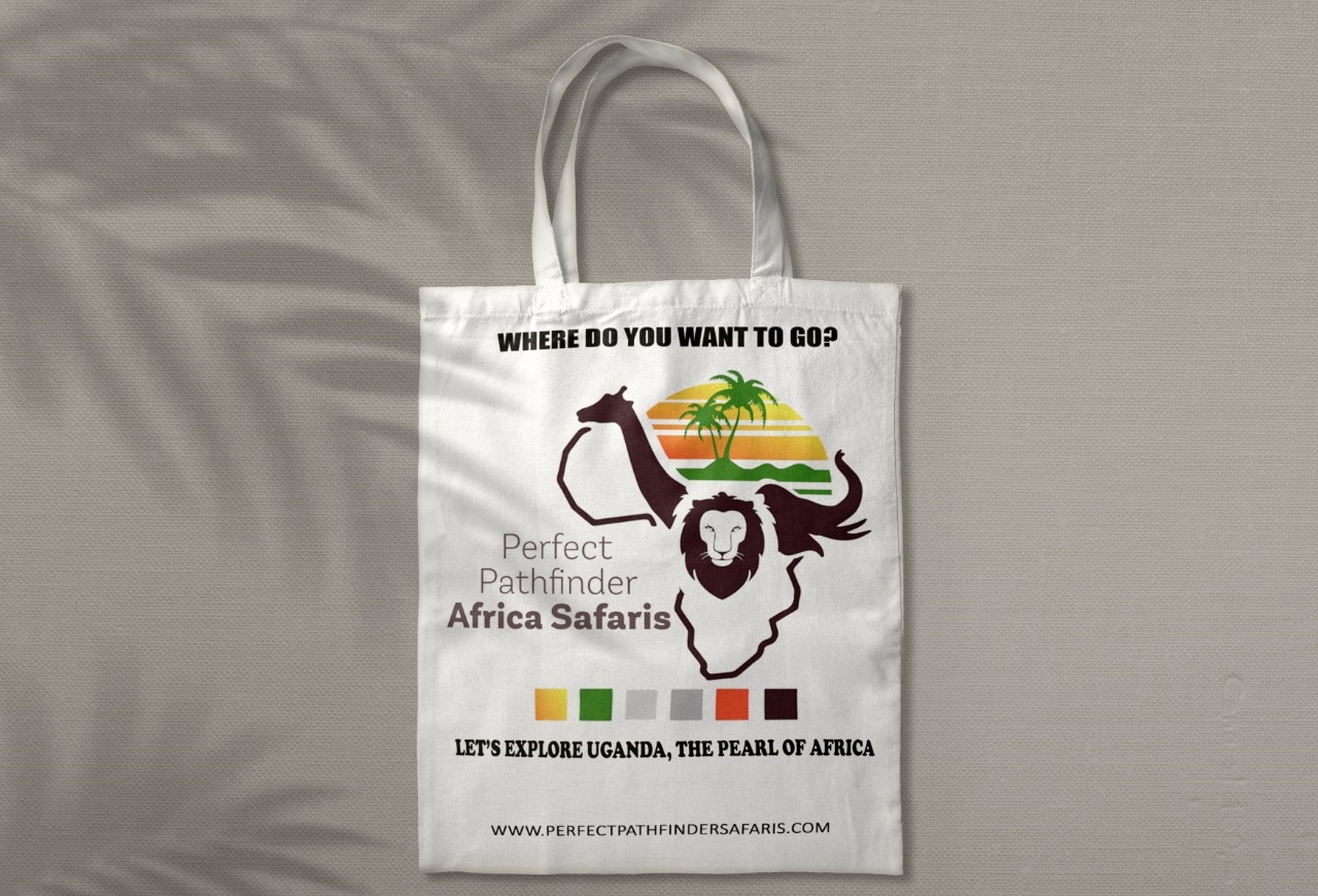 Pathfinder Bag